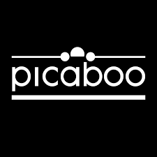  Picaboo free shipping
